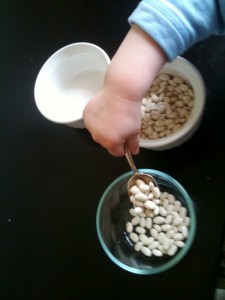 transferring beans