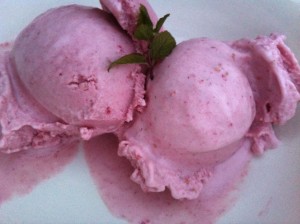 Berry coconut ice cream
