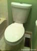 dual-flush toilet